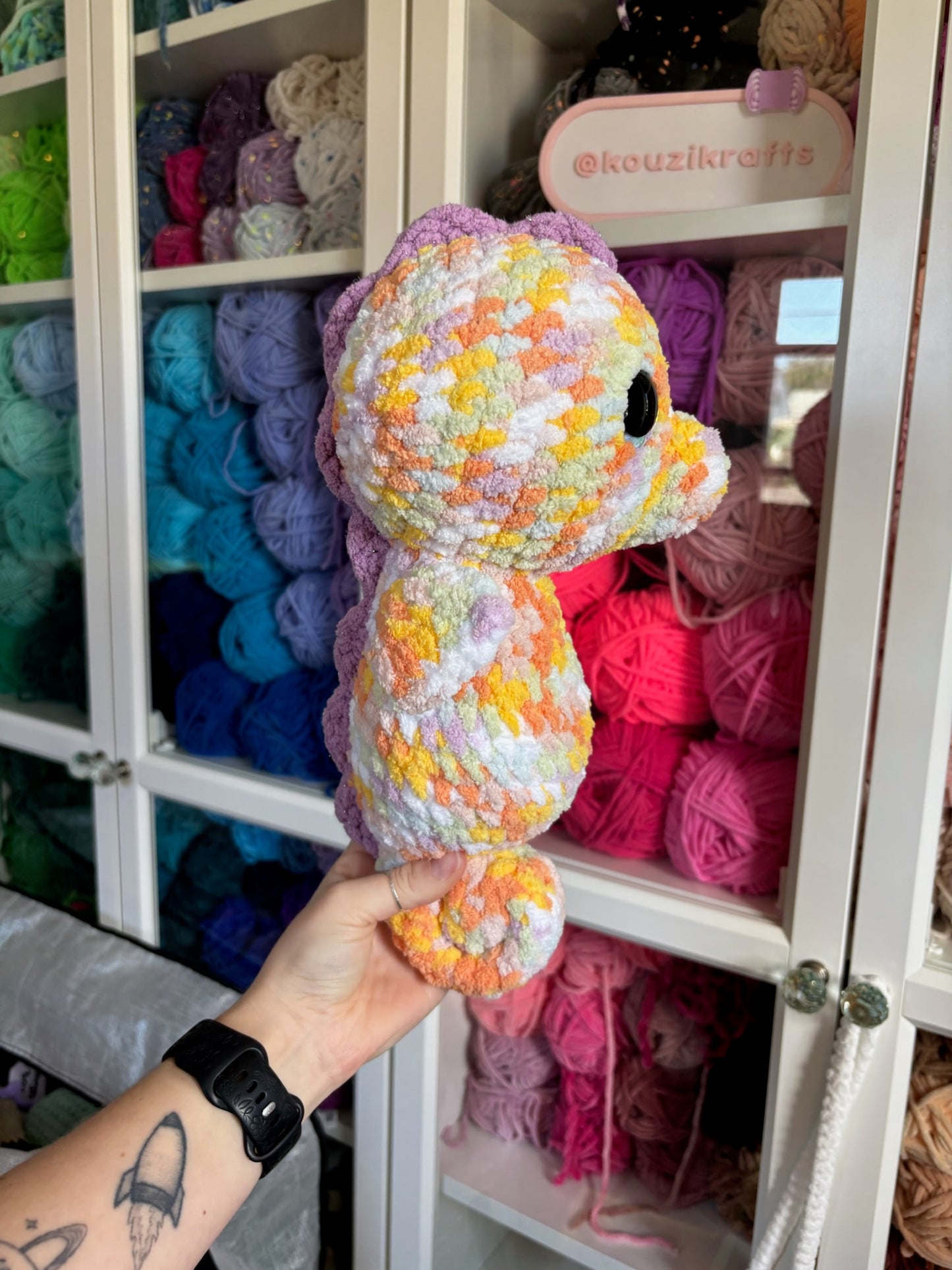 Rainbow Seahorse