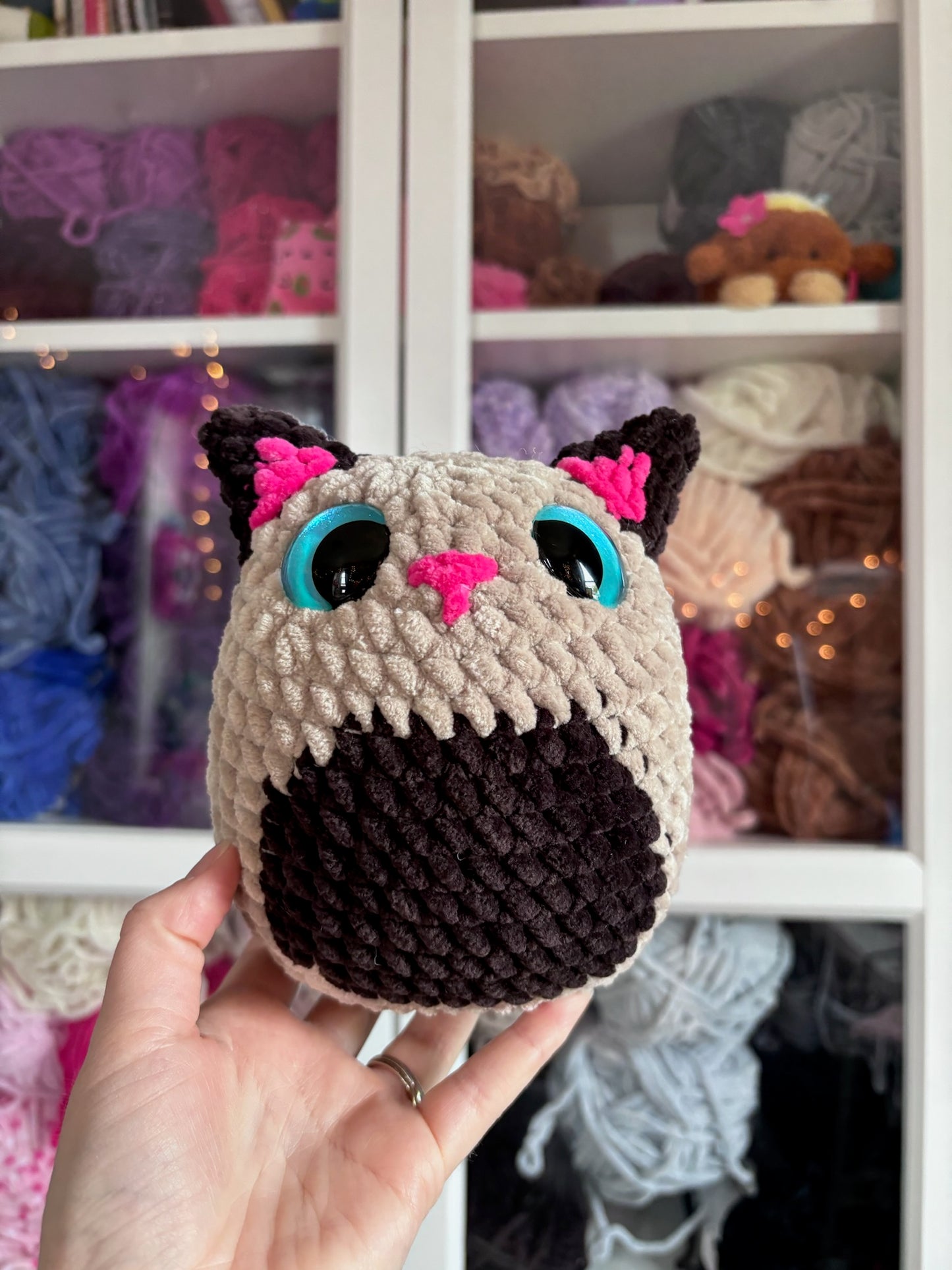 Cheddar the Cat MODIFICATION Crochet Pattern DIGITAL DOWNLOAD