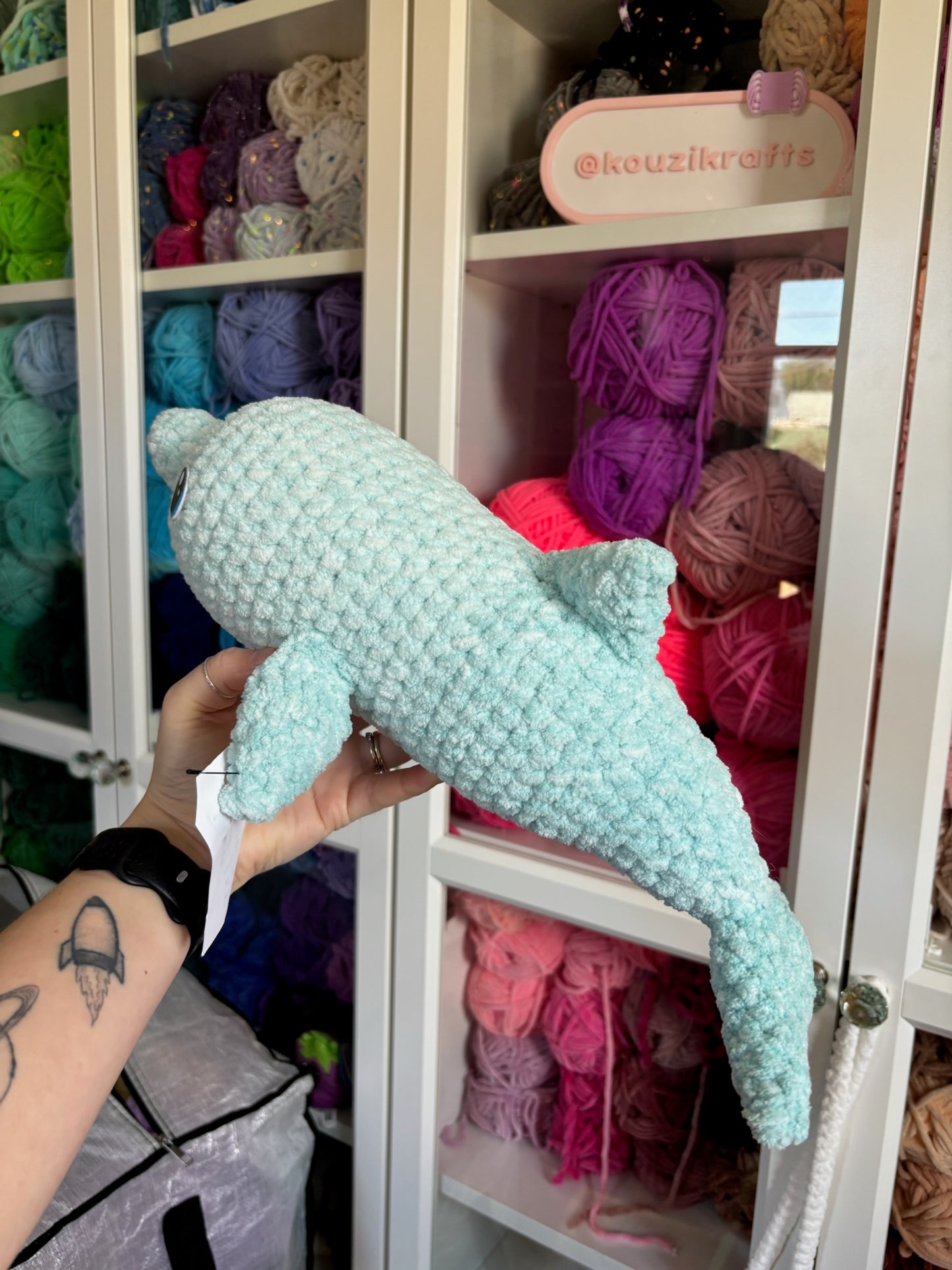 Dara the Dolphin